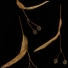 Kislevelű hárs - Tilia cordata